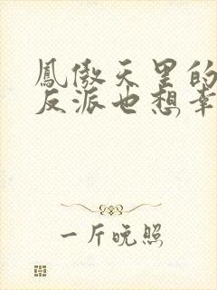 凤傲天里的黄毛反派也想幸福小说