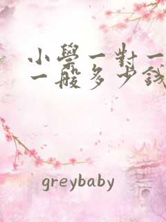 小学一对一辅导一般多少钱