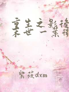 重生之影后来自末世 一叶微光