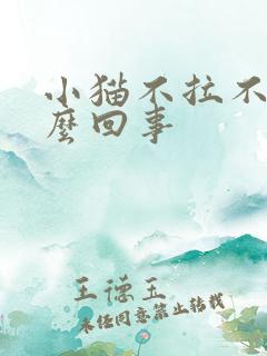 小猫不拉不尿怎么回事