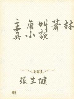 主角叫萧林的修真小说