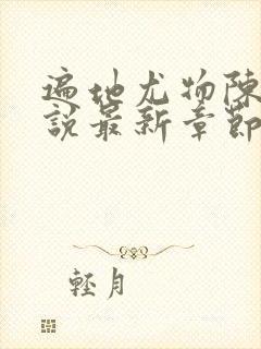 遍地尤物陈功小说最新章节阅读