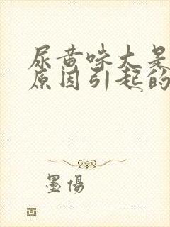 尿黄味大是什么原因引起的