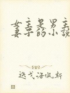 女主是男主下属妻子的小说