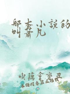 哪本小说的主角叫萧凡