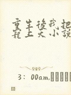 重生后我把丈夫宠上天小说