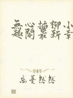 无心插柳小说笔趣阁最新章节