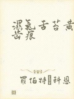 湿气舌苔黄腻有齿痕