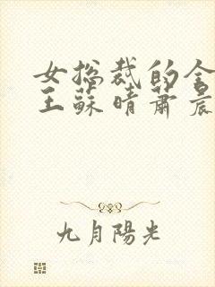 女总裁的全能兵王苏晴萧晨