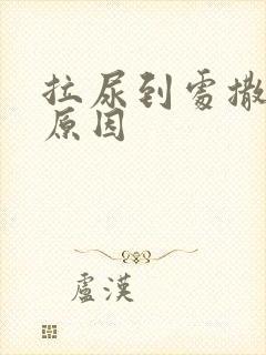 拉尿到处撒什么原因