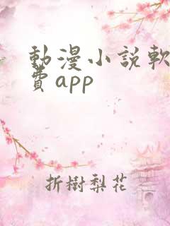 动漫小说软件免费app