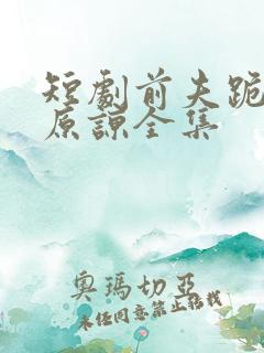 短剧前夫跪求我原谅全集