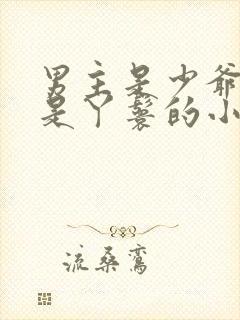 男主是少爷女主是丫鬟的小说