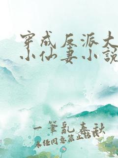 穿成反派大佬的小仙妻小说