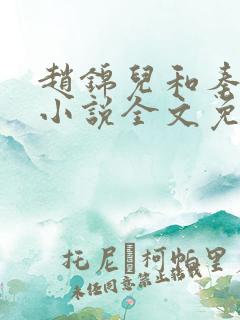 赵锦儿和秦慕修小说全文免费阅读