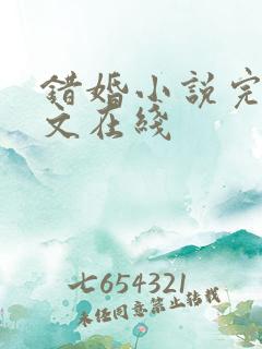 错婚小说完结全文在线