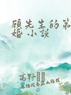 顾先生的第一宠婚 小说