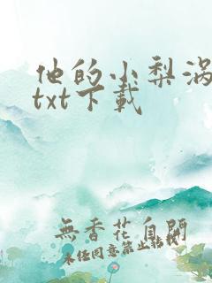 他的小梨涡小说txt下载