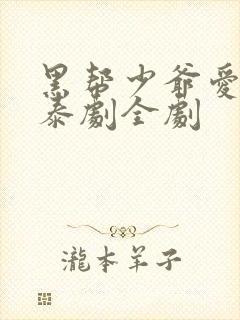 黑帮少爷爱上我泰剧全剧