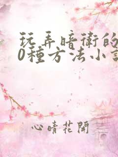 玩弄暗卫的100种方法小说