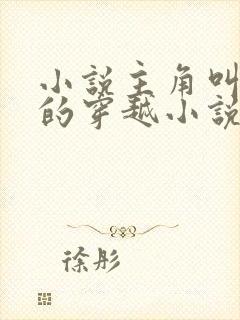 小说主角叫苏辰的穿越小说