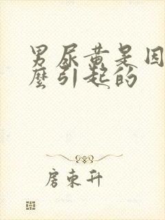 男尿黄是因为什么引起的