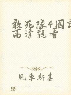 敢死队4国语版高清观看