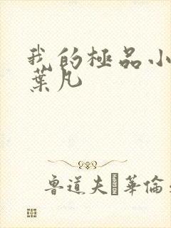 我的极品小姨 叶凡