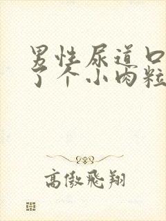 男性尿道口内长了个小肉粒