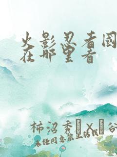 火影忍者国语版在哪里看