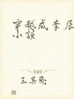 穿越成李辰安的小说