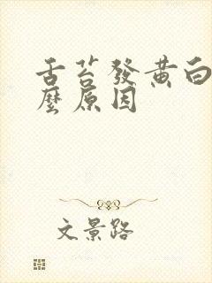 舌苔发黄白是什么原因