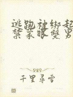 逃跑被绑起来囚禁蒙眼双男主小说