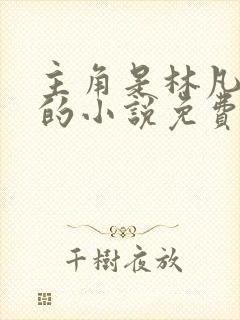 主角是林凡叶惜的小说免费阅读