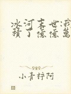 冰河末世:我囤积了亿亿万物资无弹窗