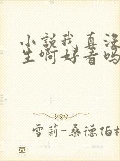 小说我真没想重生啊好看吗