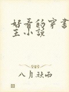 好看的穿书双男主小说