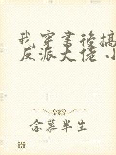 我穿书后搞到了反派大佬 小说