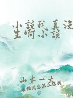 小说我真没想重生啊小说