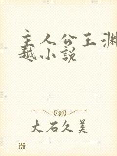 主人公王渊的穿越小说