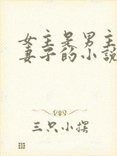 女主是男主下属妻子的小说