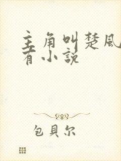 主角叫楚风的所有小说
