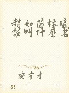 赵如茵林曦安小说叫什么名字