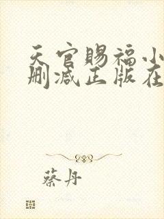 天官赐福小说无删减正版在线阅读