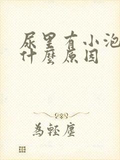 尿里有小泡泡是什么原因