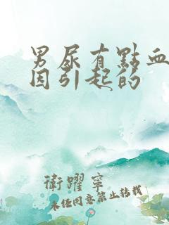 男尿有点血的原因引起的