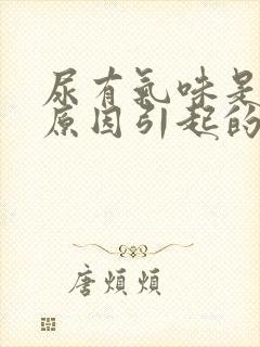 尿有气味是什么原因引起的