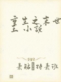 重生之末世女兵王 小说