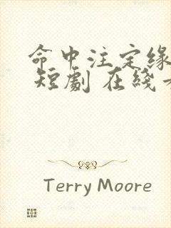 命中注定缘归来 短剧 在线看