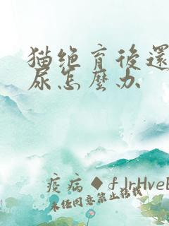 猫绝育后还会乱尿怎么办